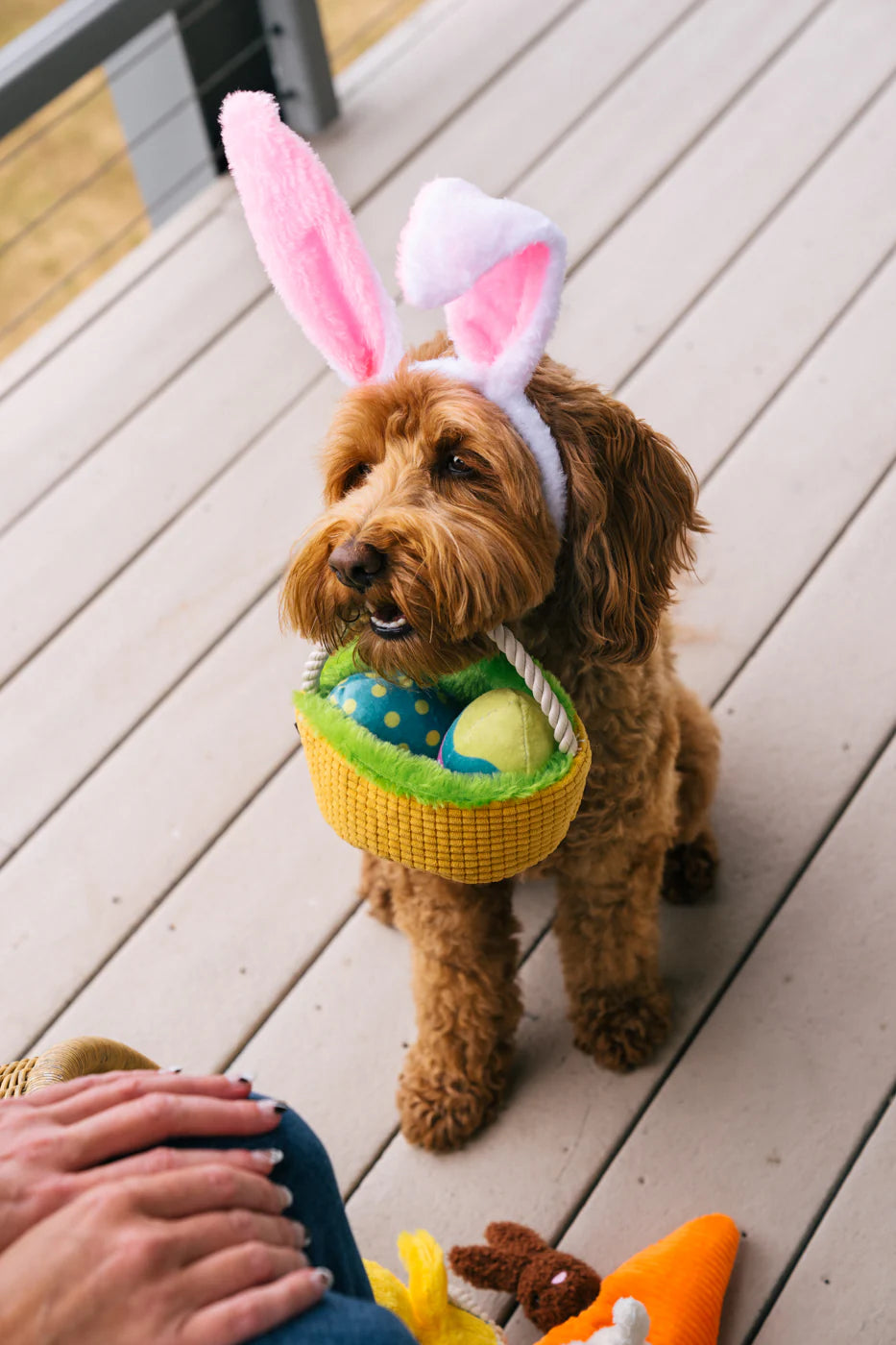 PET P.L.A.Y  Hippity Hoppity Eggs-cellent Basket